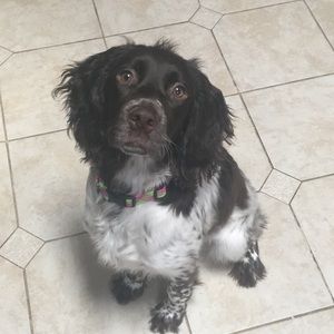 Meet your Posher, Caegan